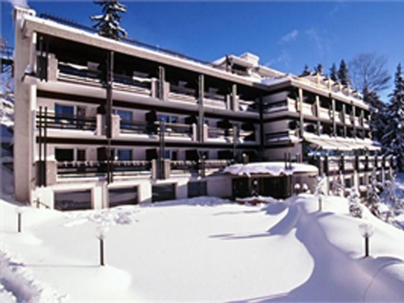 Hotel De La Foret Кран-Монтана Экстерьер фото